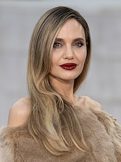 files/250px-Angelina_Jolie-643531_crop.png