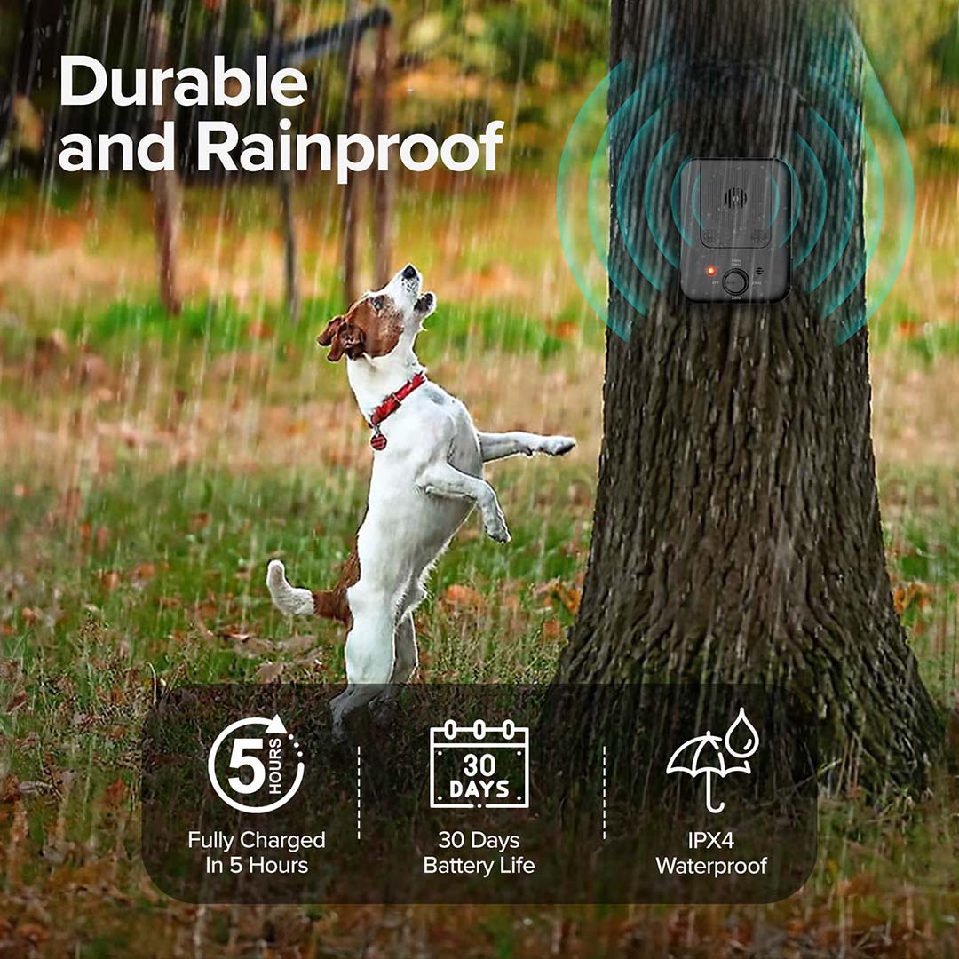WoofWave Pro